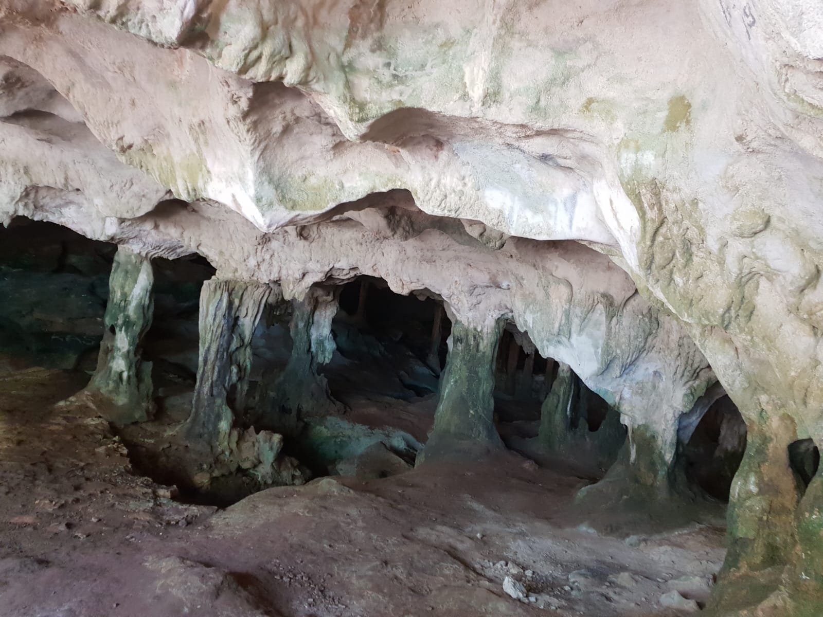 Conch Bar Caves1